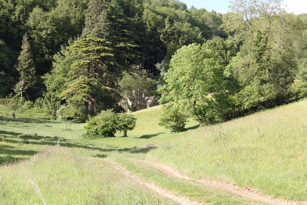 Owlpen Manor Cottages Uley Zewnętrze zdjęcie